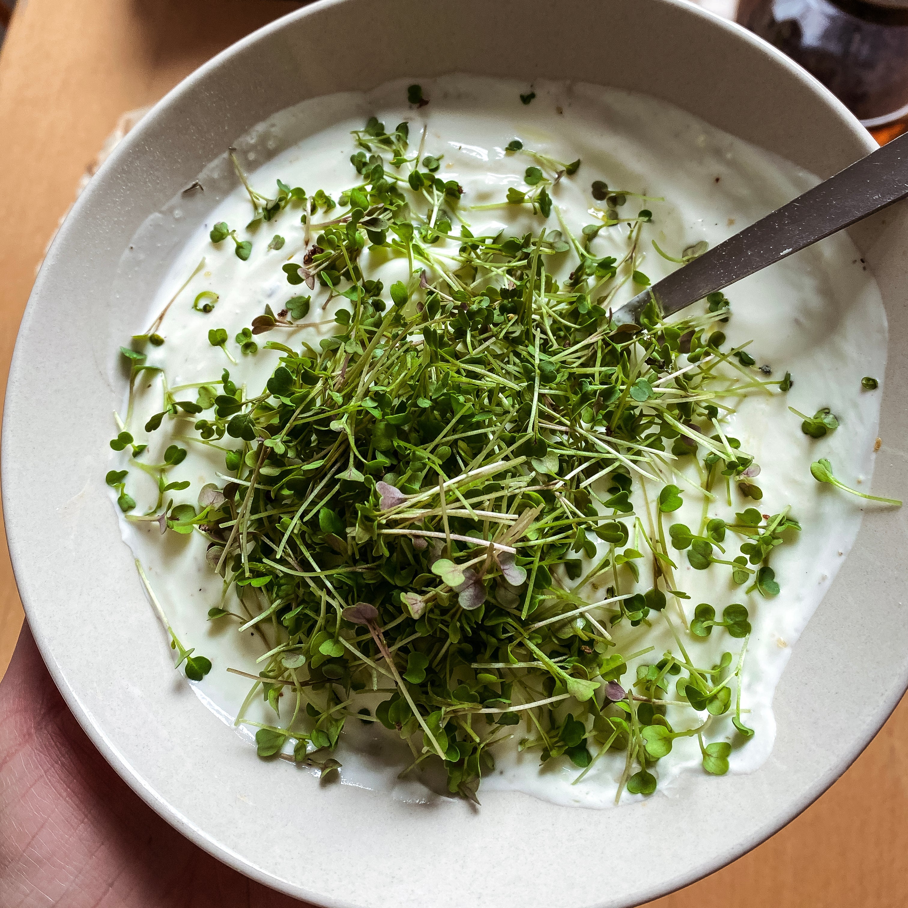 Microgreens Senf