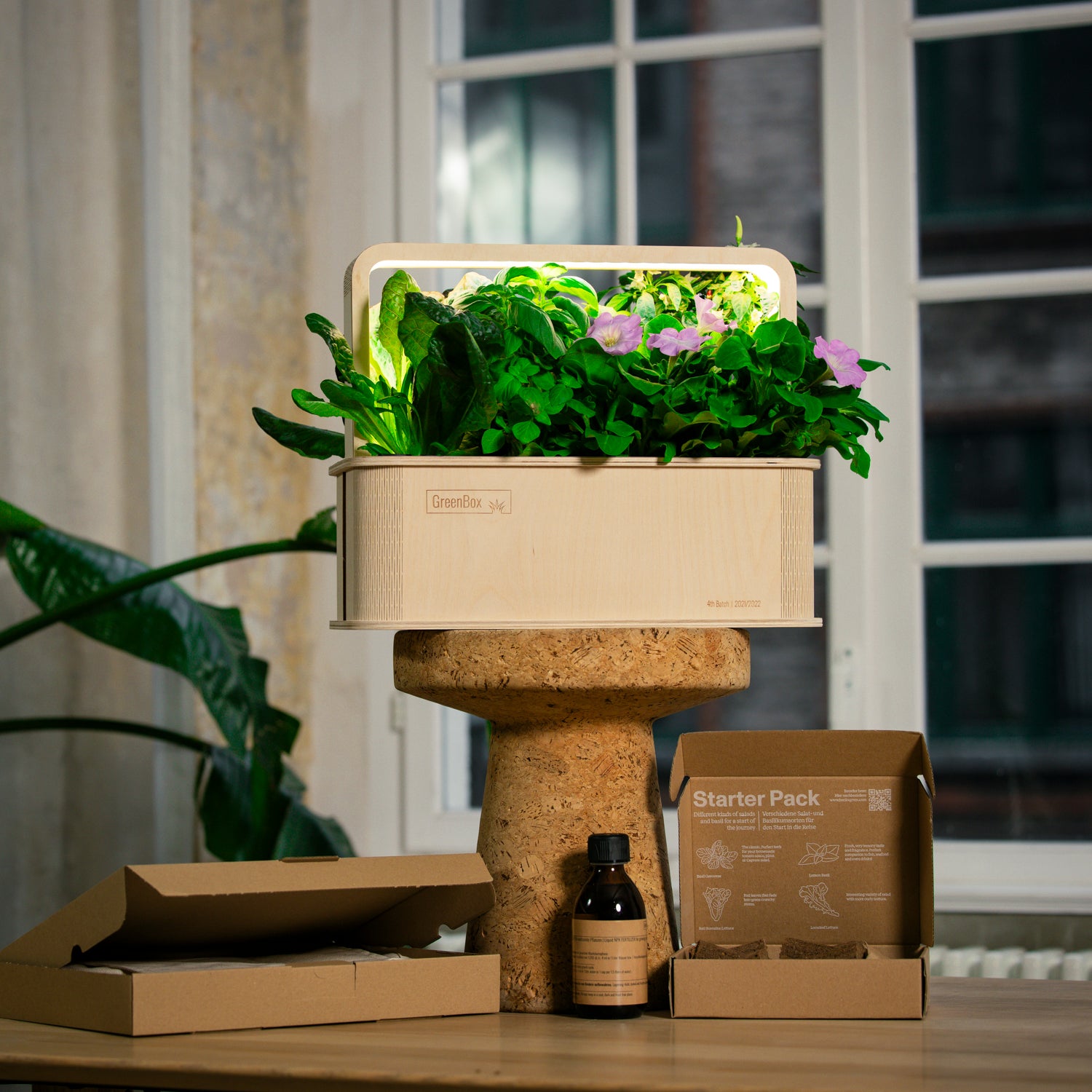 GreenBox Einstieg Deluxe Bundle