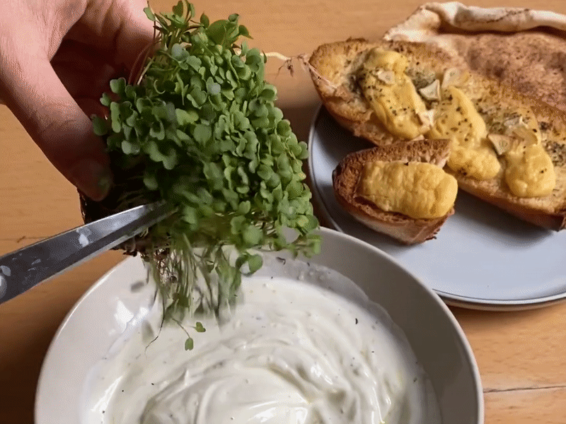 Nährstoffgehalt von Microgreens