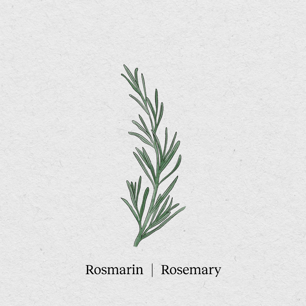 Rosemary