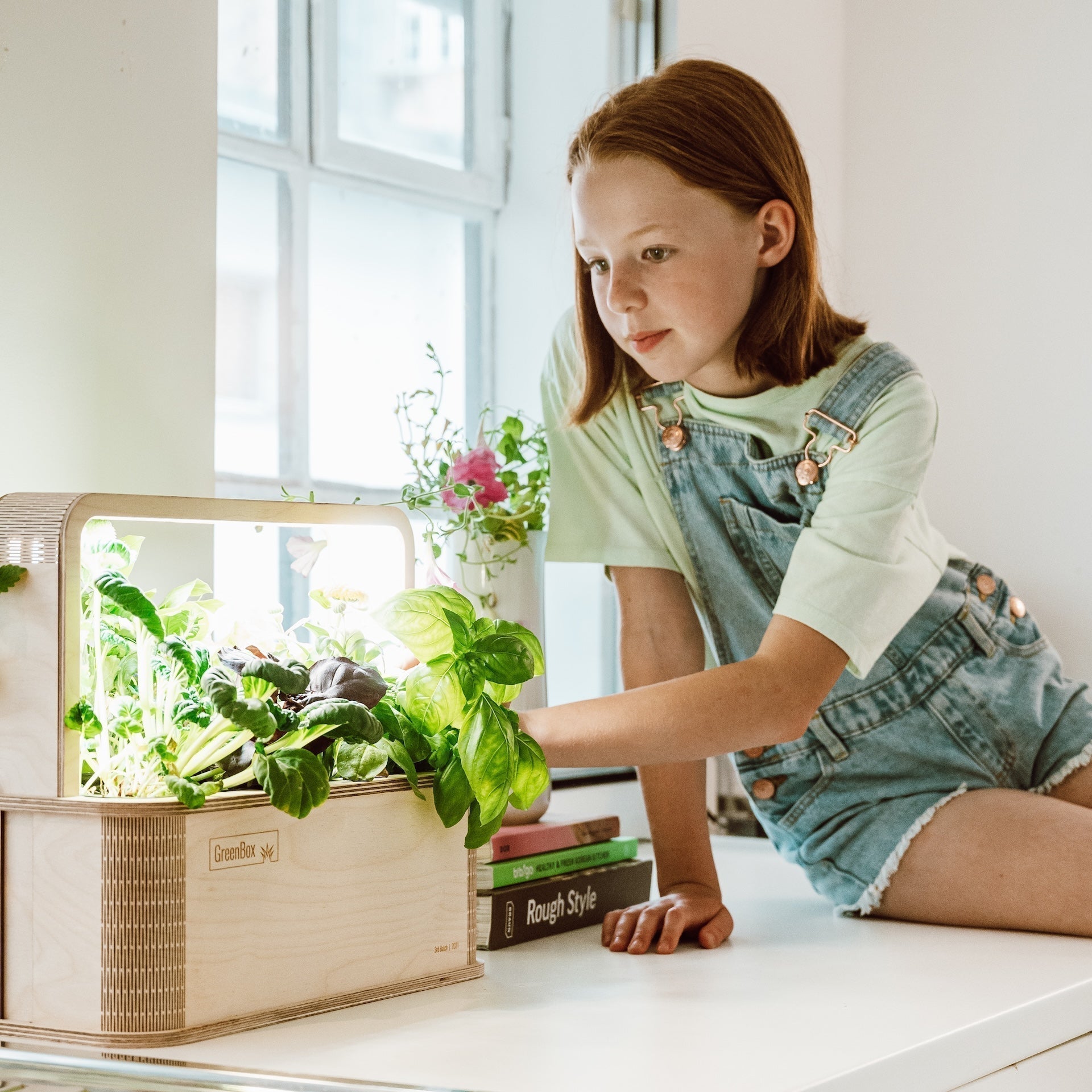 In eigener Sache: Warum unsere PlantPlugs schon so lange ausverkauft sind