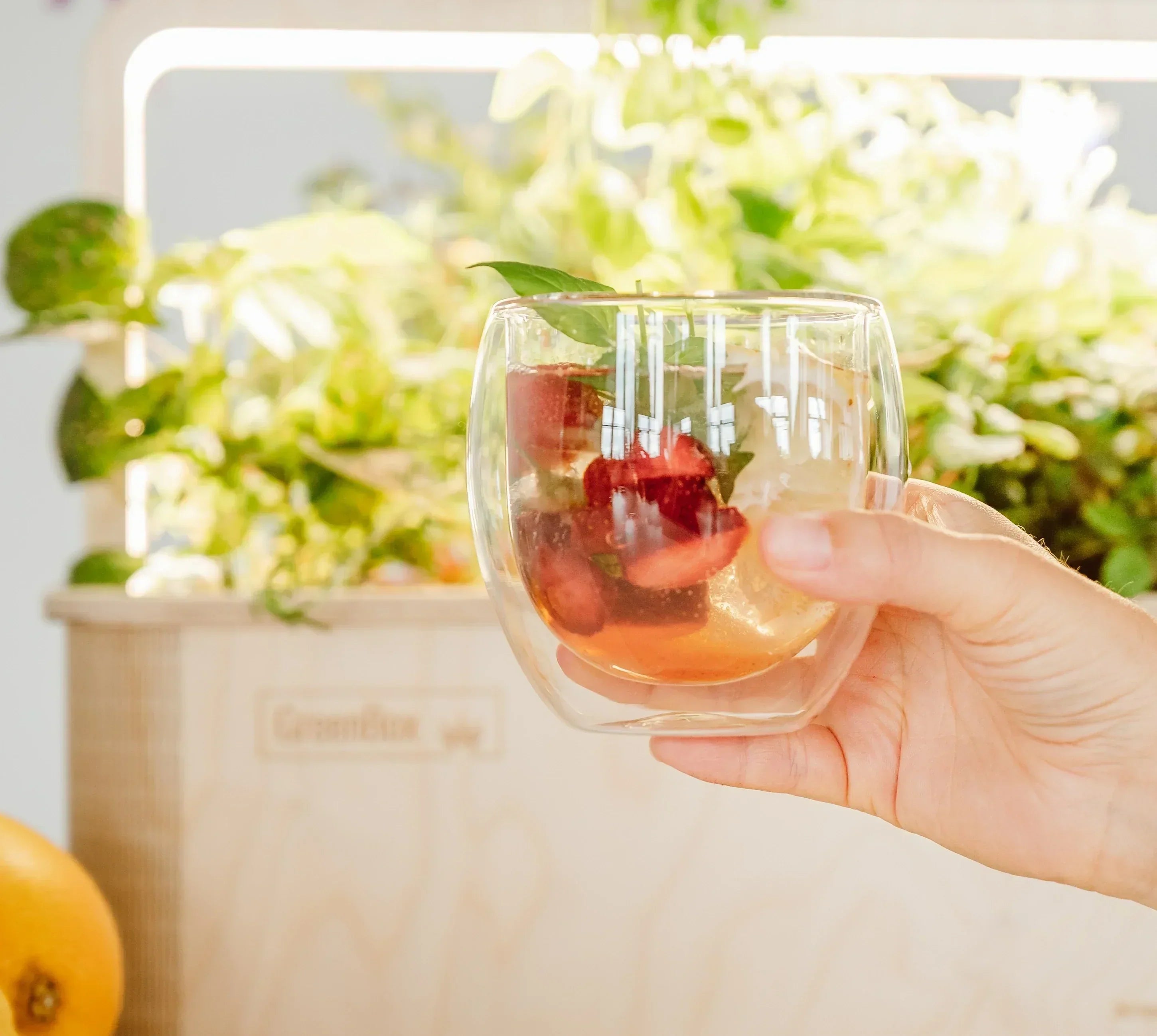 Unser liebstes Sommerrezept: Baukasten-Kräuterlimonade mit allem, was die GreenBox hergibt
