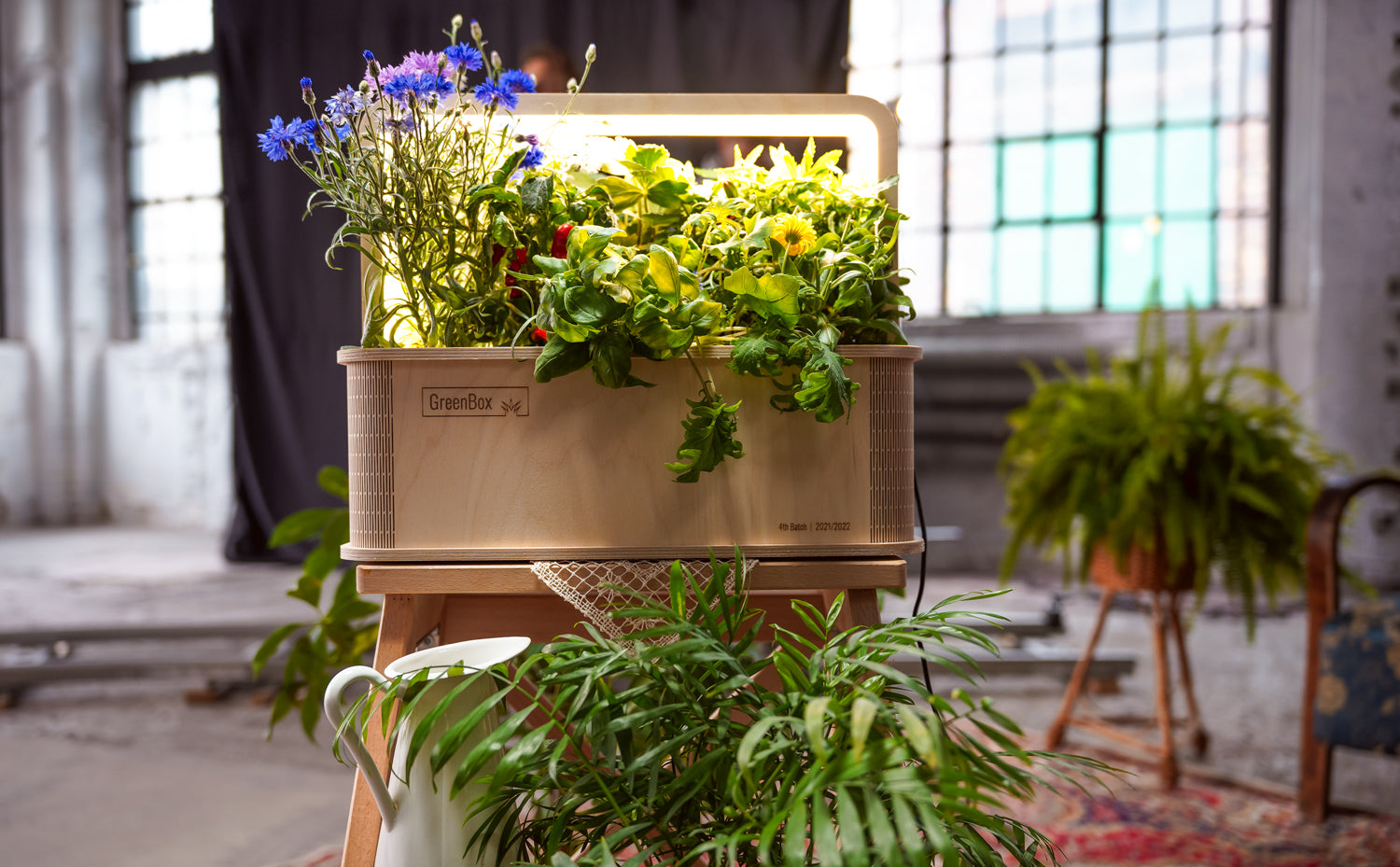 Eine Sommerparty mit der GreenBox  - Grüne Unterstützung für unvergessliche Feierlichkeiten