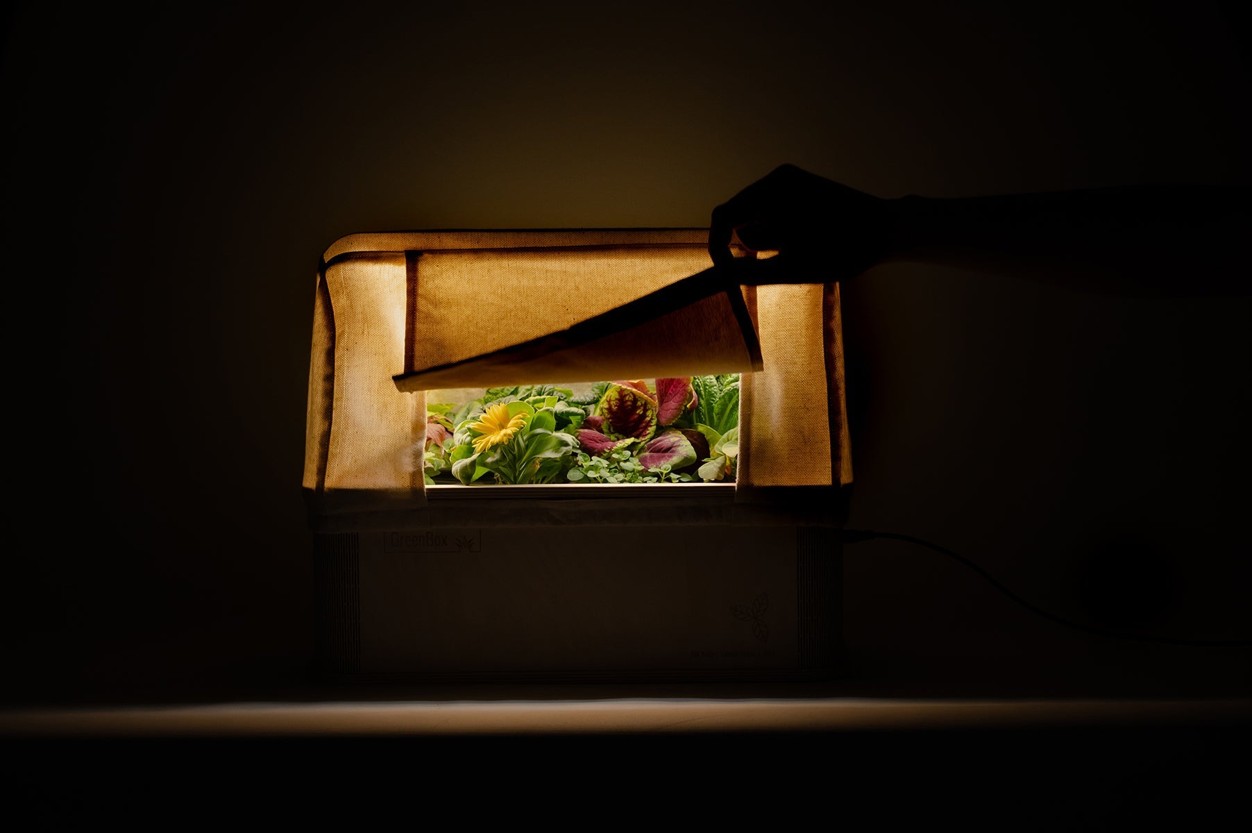 2x GreenBox Tent - Double Set