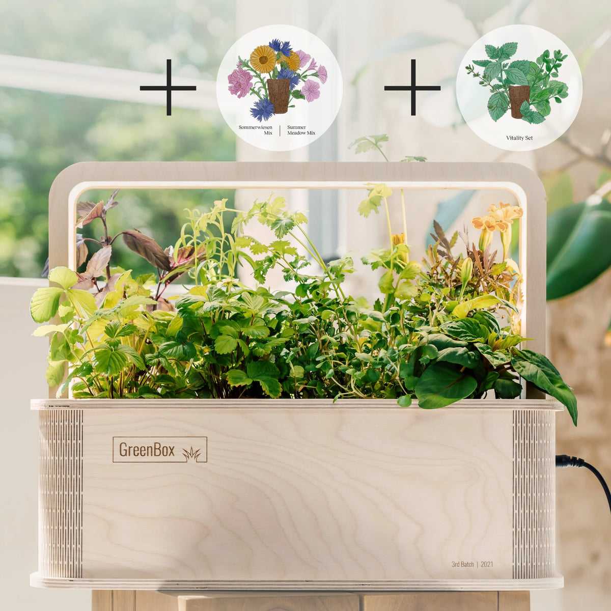 GreenBox