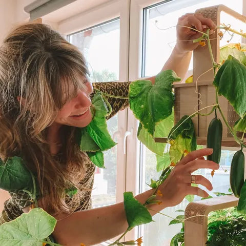 Meinung zur GreenBox von Daniela P. – ein Hingucker