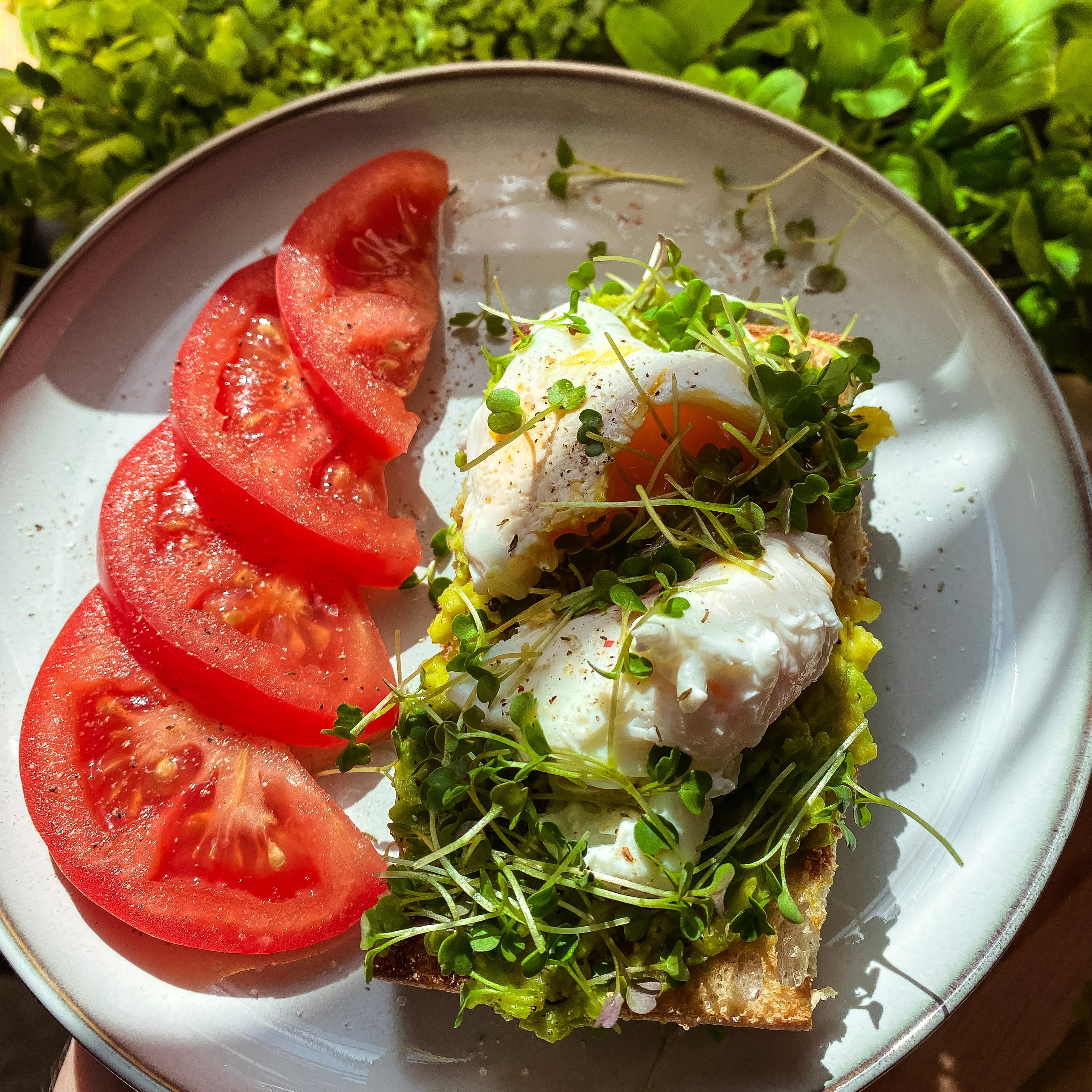 Kreativer Snack: Brot mit angebauten Kräutern