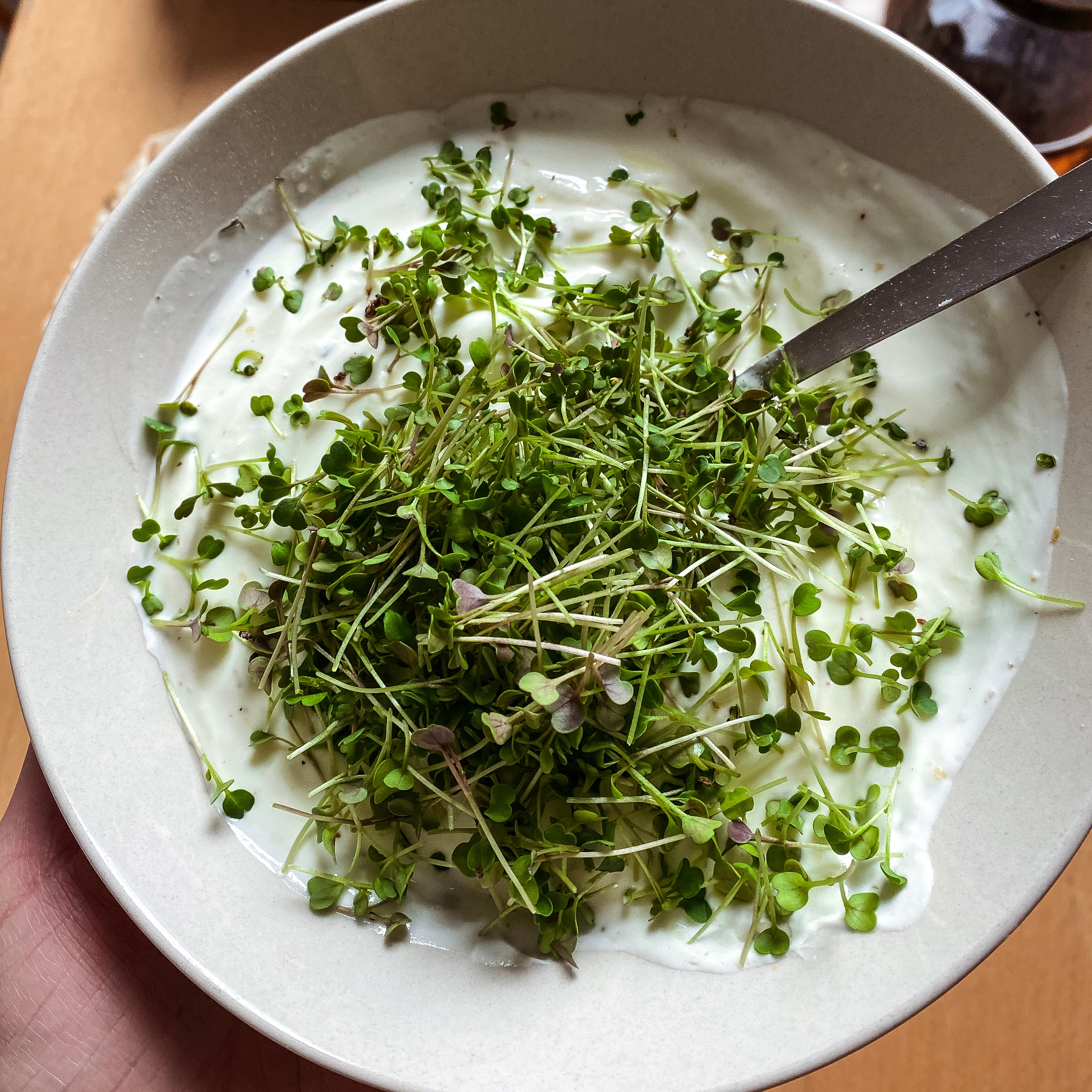 Microgreens Brokkoli