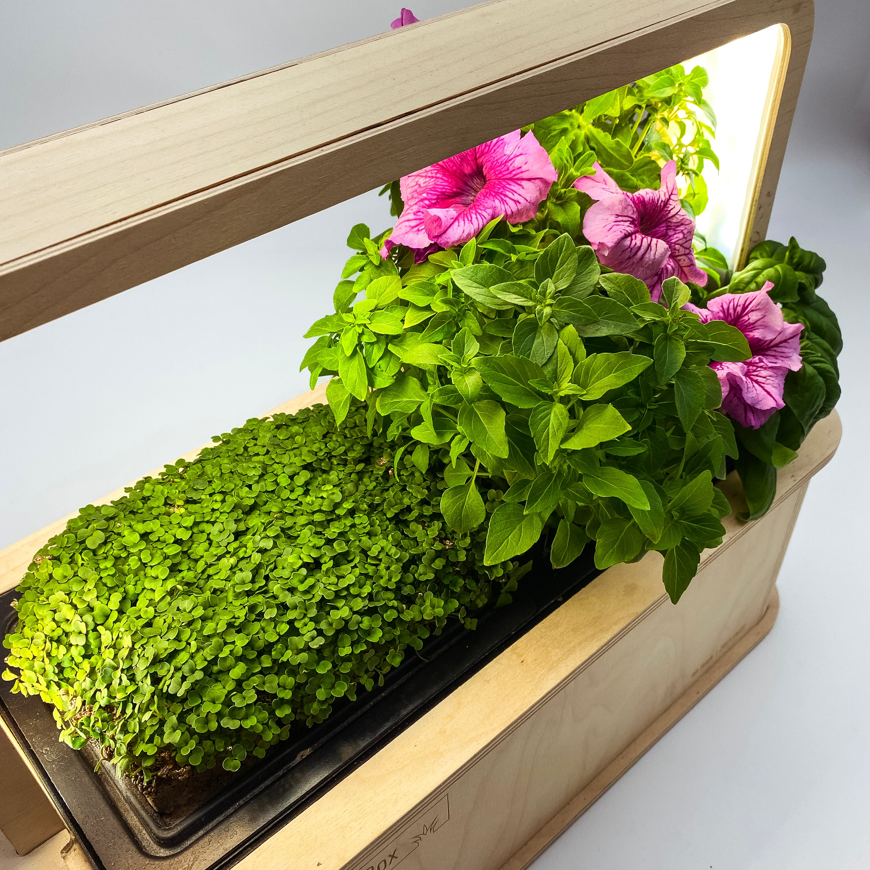 GreenBox
