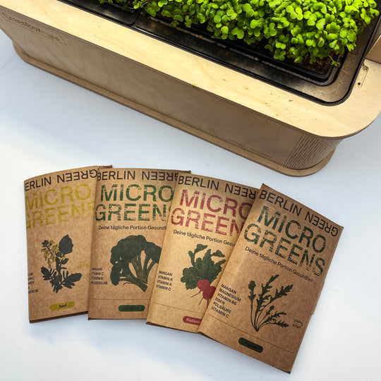 Microgreens Vielfalt Set 4-Pack