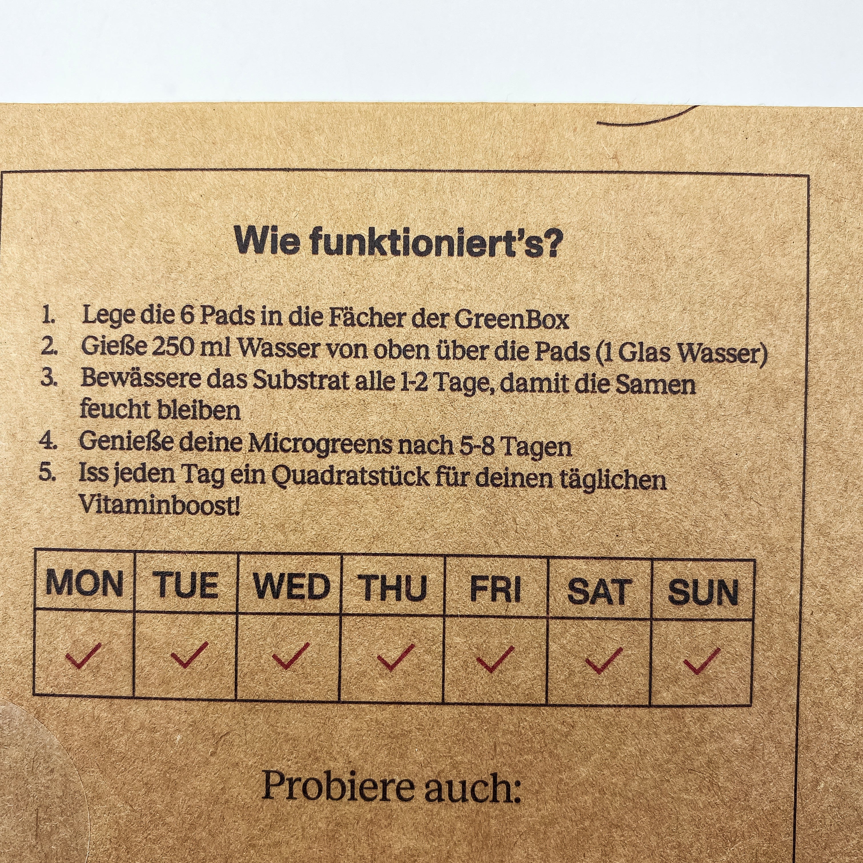 Microgreens ředkvičky