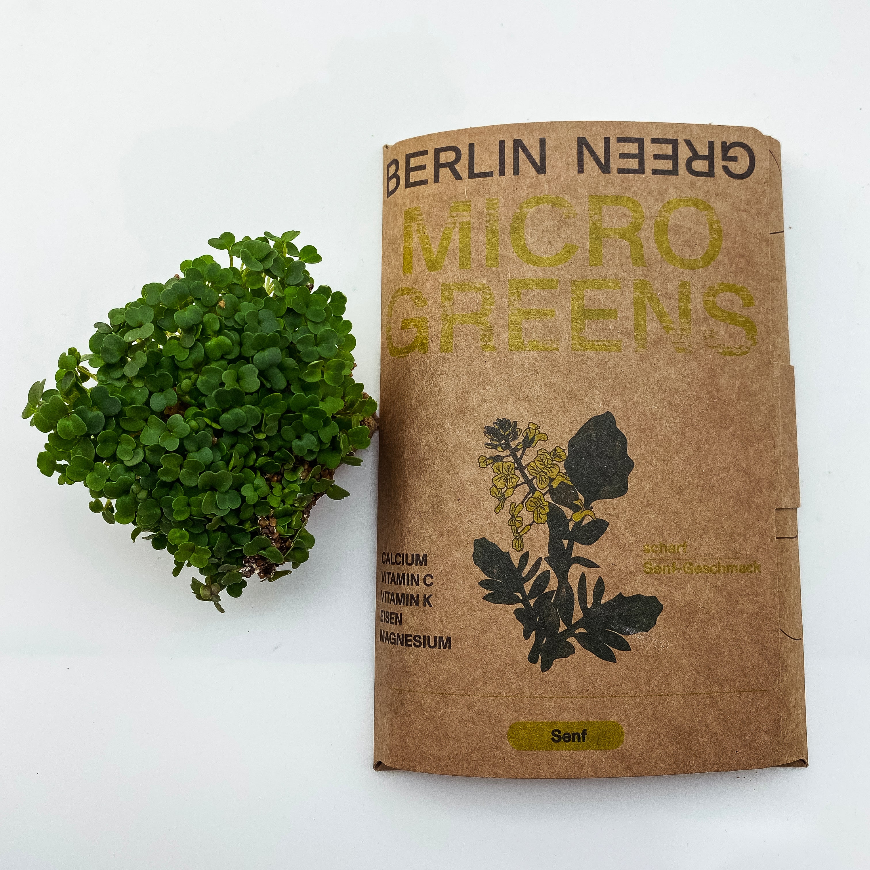 Microgreens Senf