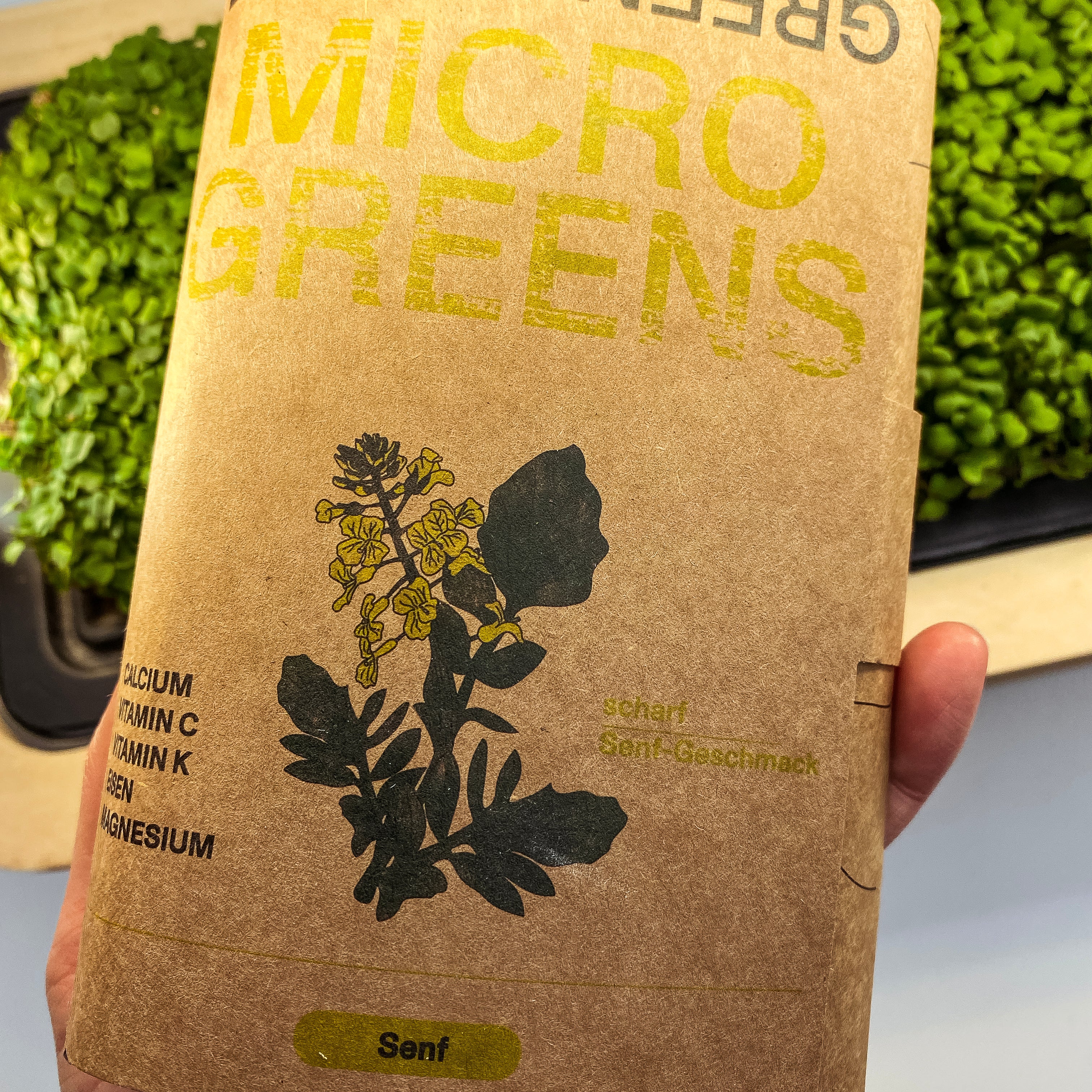 Microgreens Senf