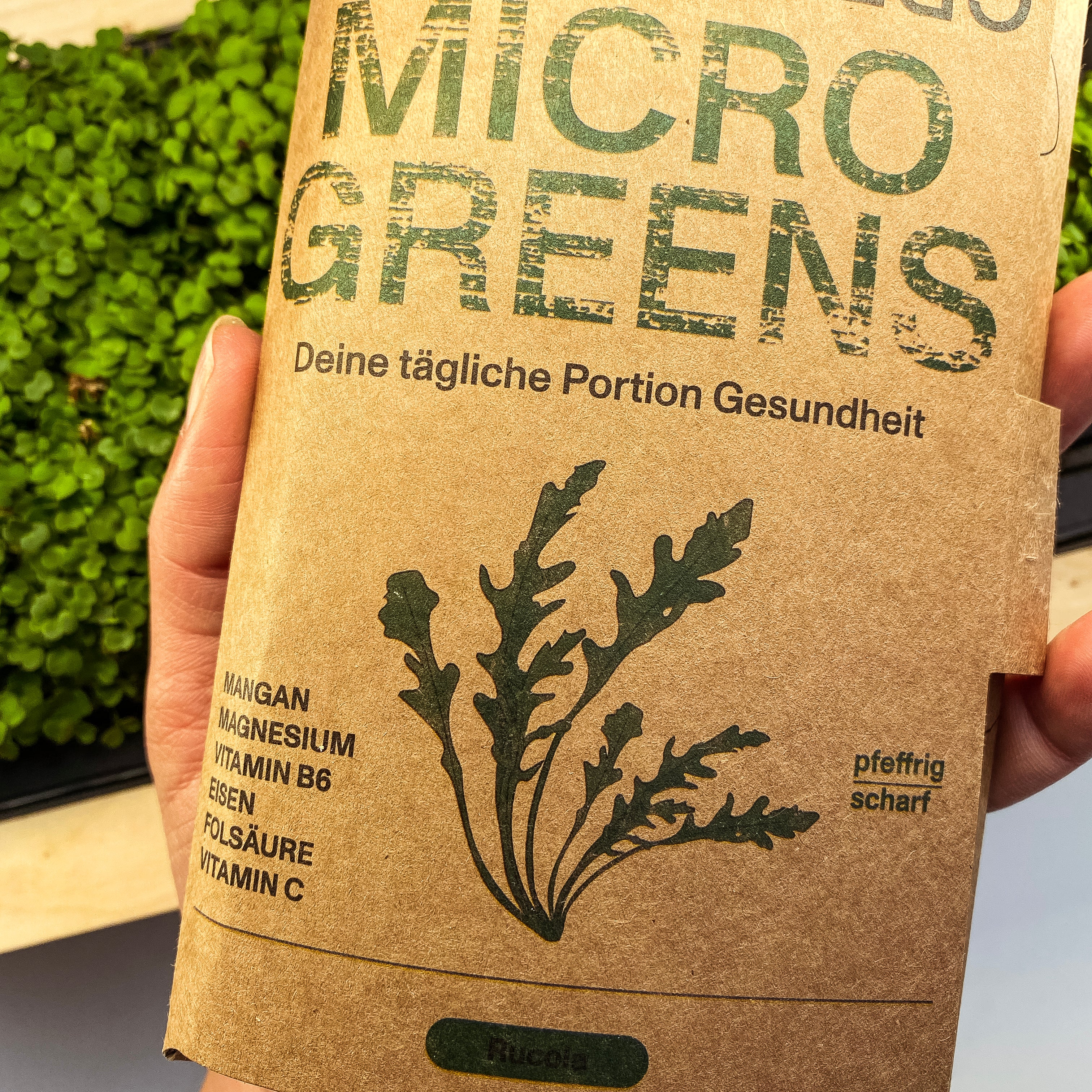 Microgreens Rucola