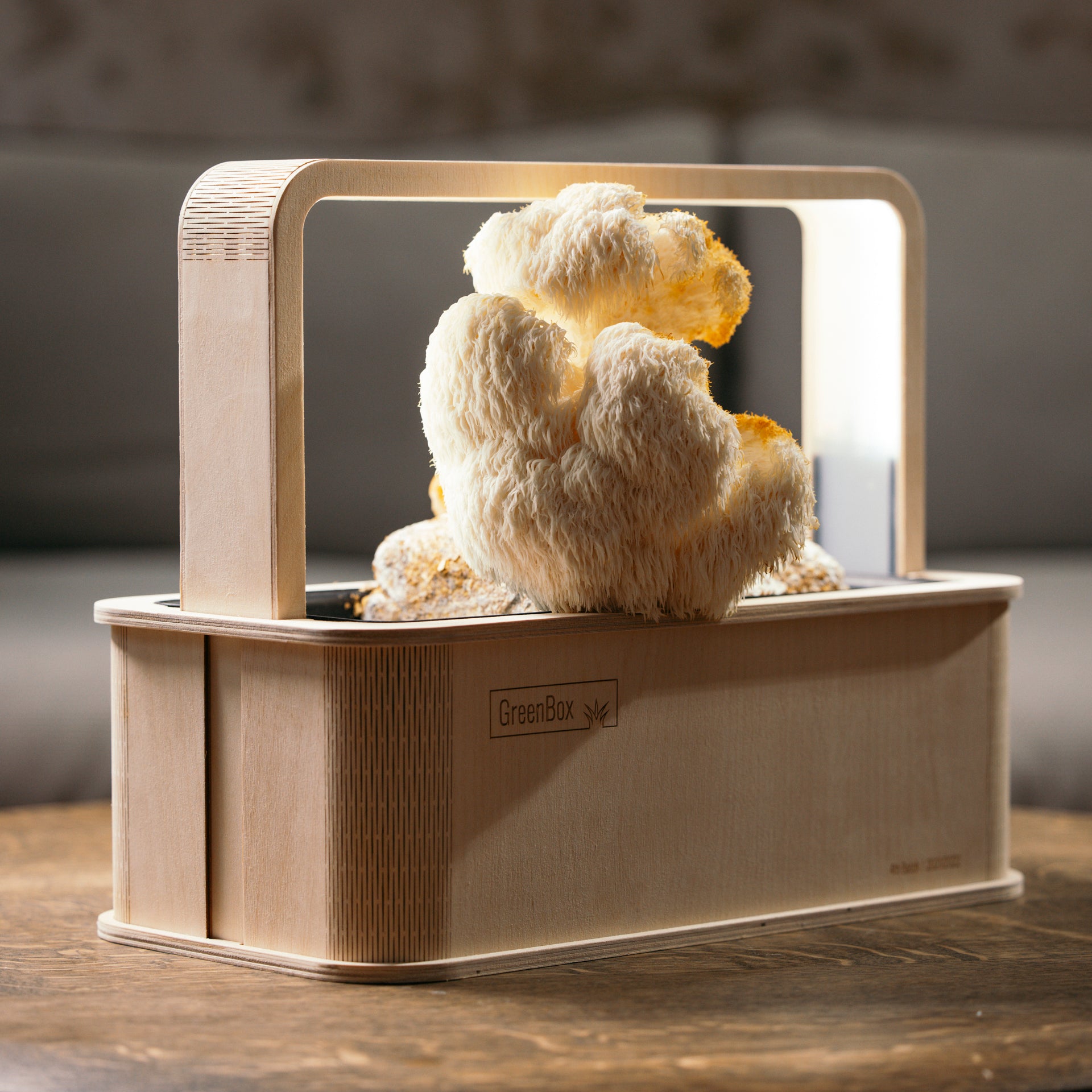 <tc>Lion's Mane</tc>
