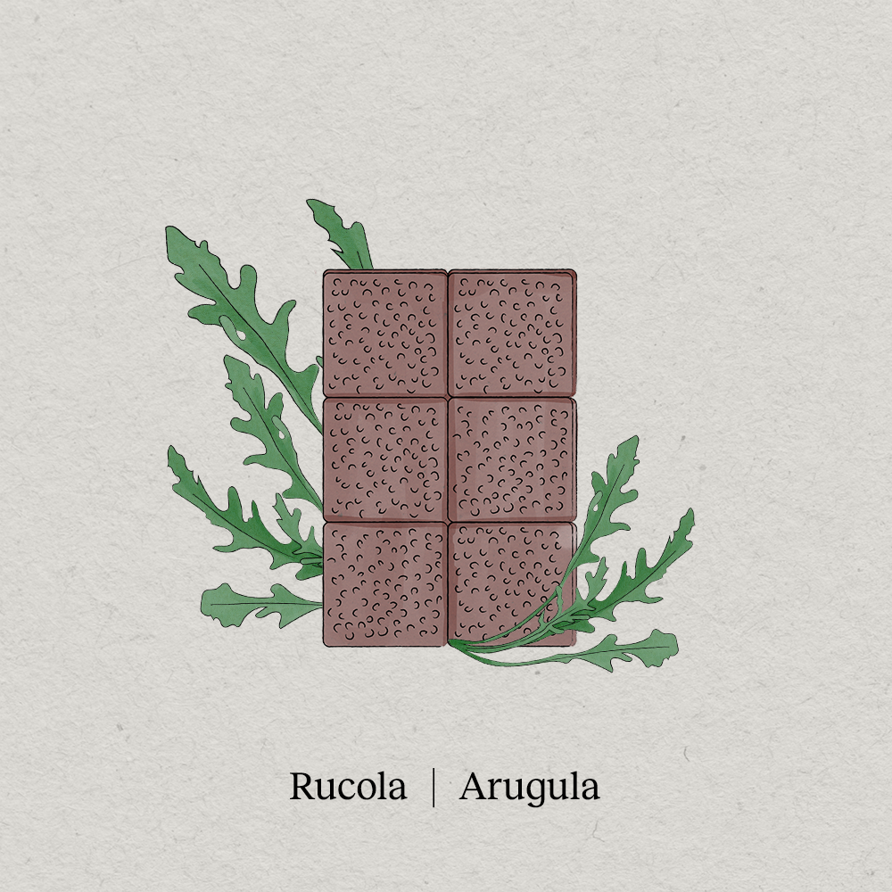 Microgreens Rucola