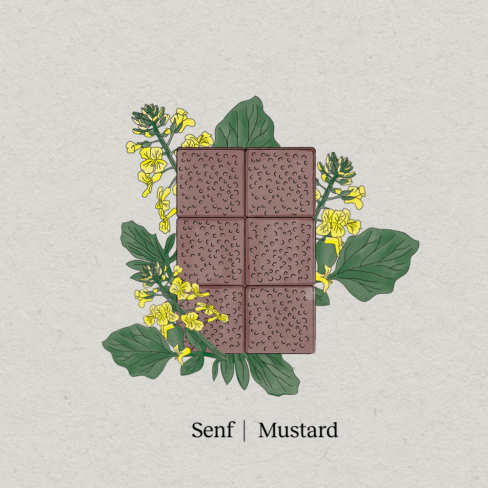 Microgreens Senf