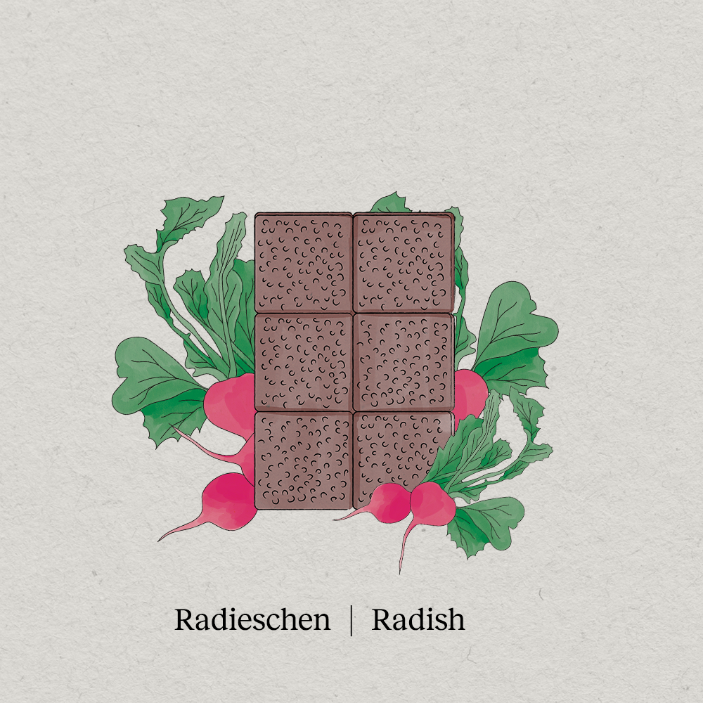 Microgreens ředkvičky