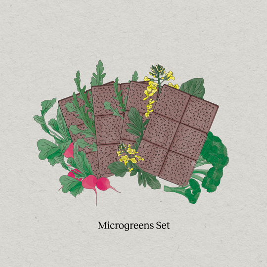Microgreens Vielfalt Set 4-Pack
