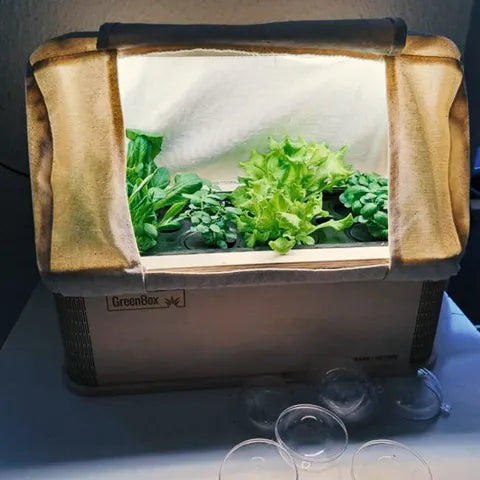 Meinung zur GreenBox von Marie J. – überglücklich mit Mini-Garten