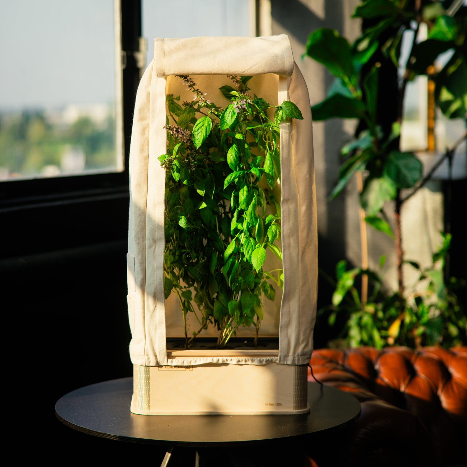 GreenBox Plus Tent