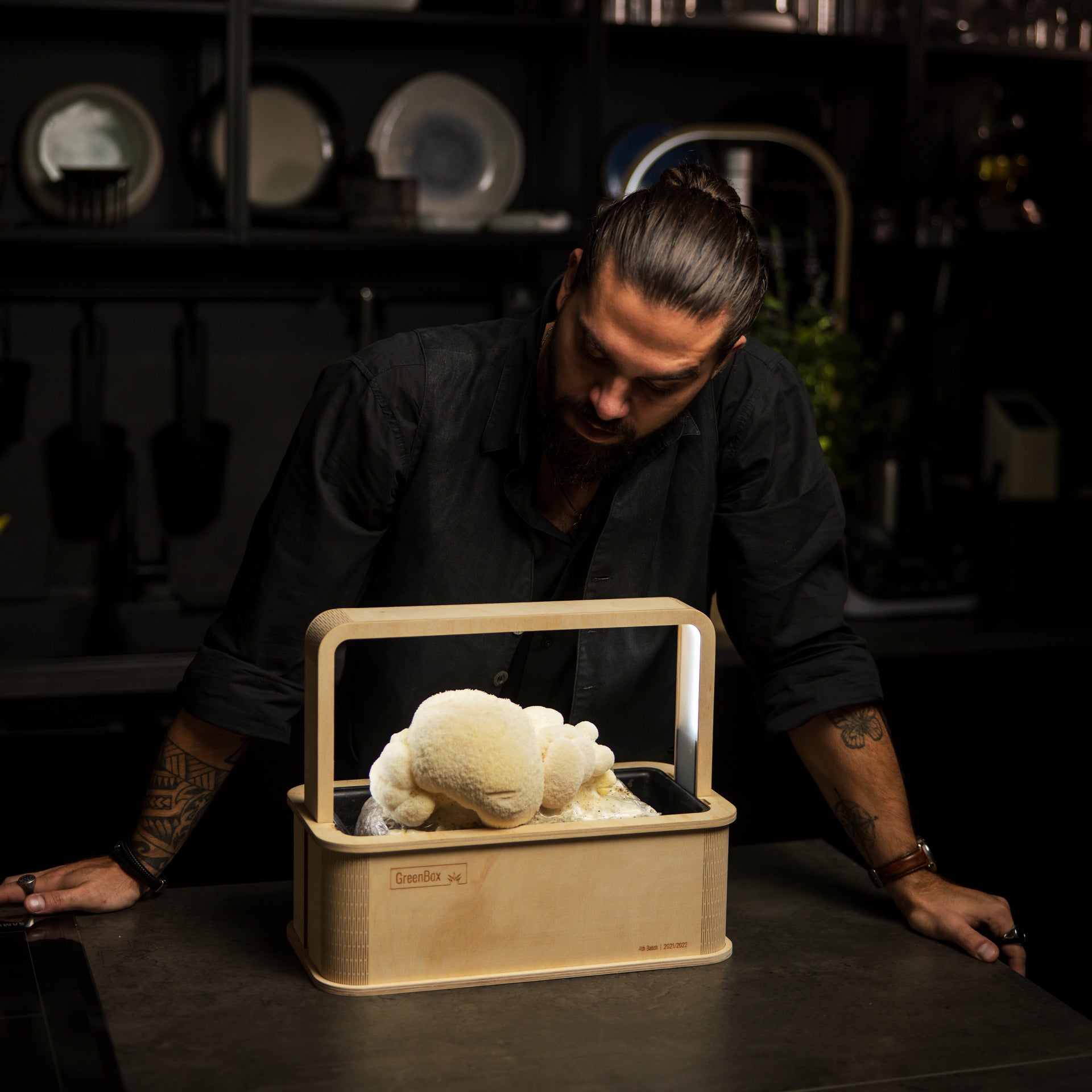 <tc>Lion's Mane</tc>