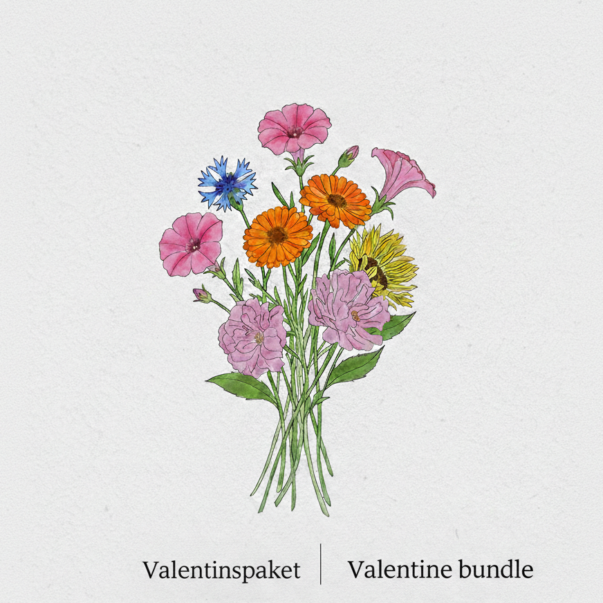 Valentinspaket