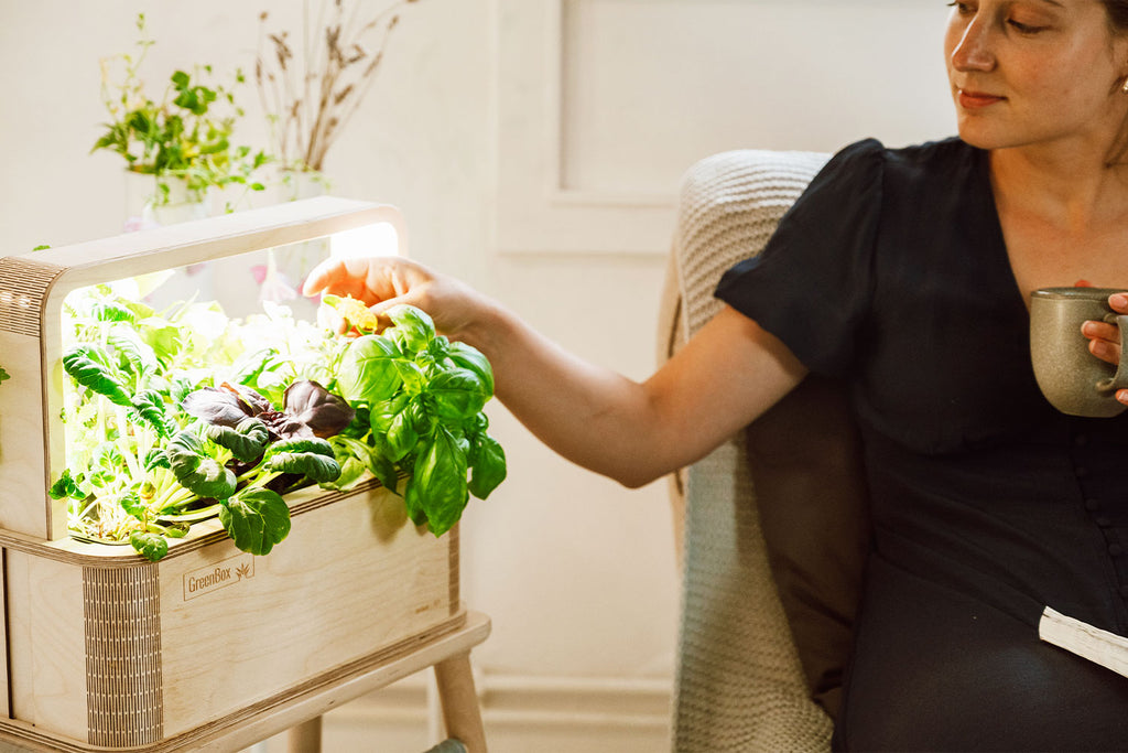 How It Works – BERLIN GREEN