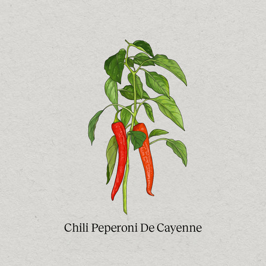 Chili Peperoni de Cayenne