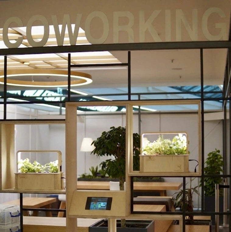 Ein Office, das lebt und einen Ort schafft, an dem man gerne ist.