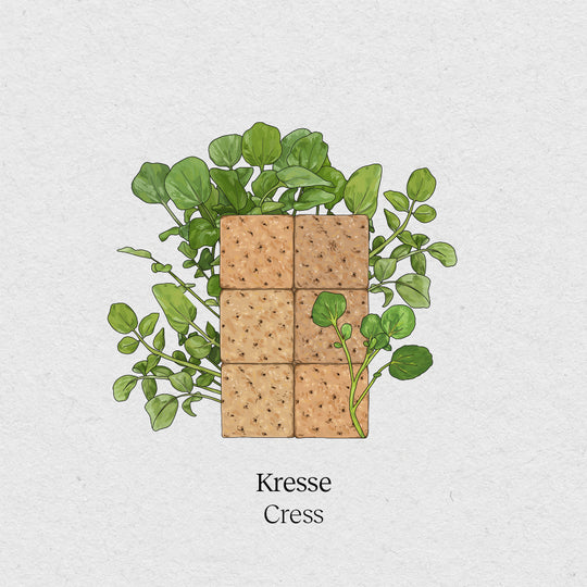 Microgreens Kresse