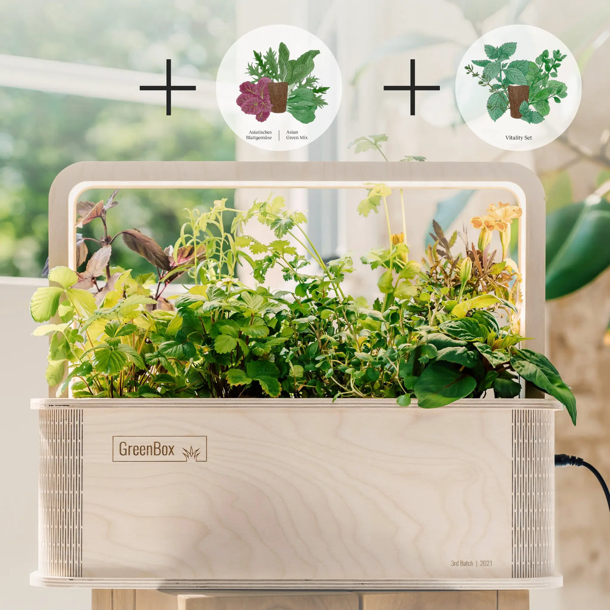 GreenBox