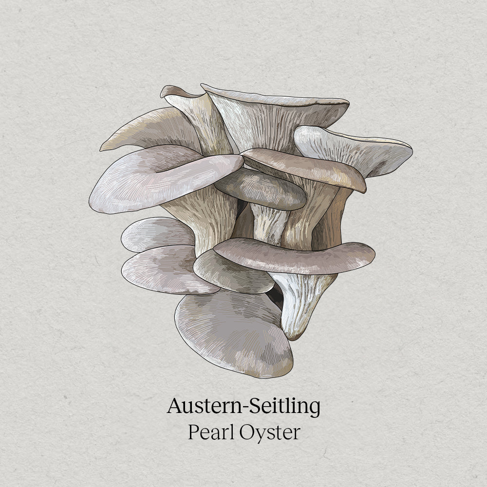 <tc>Oyster Mushroom Pack</tc>