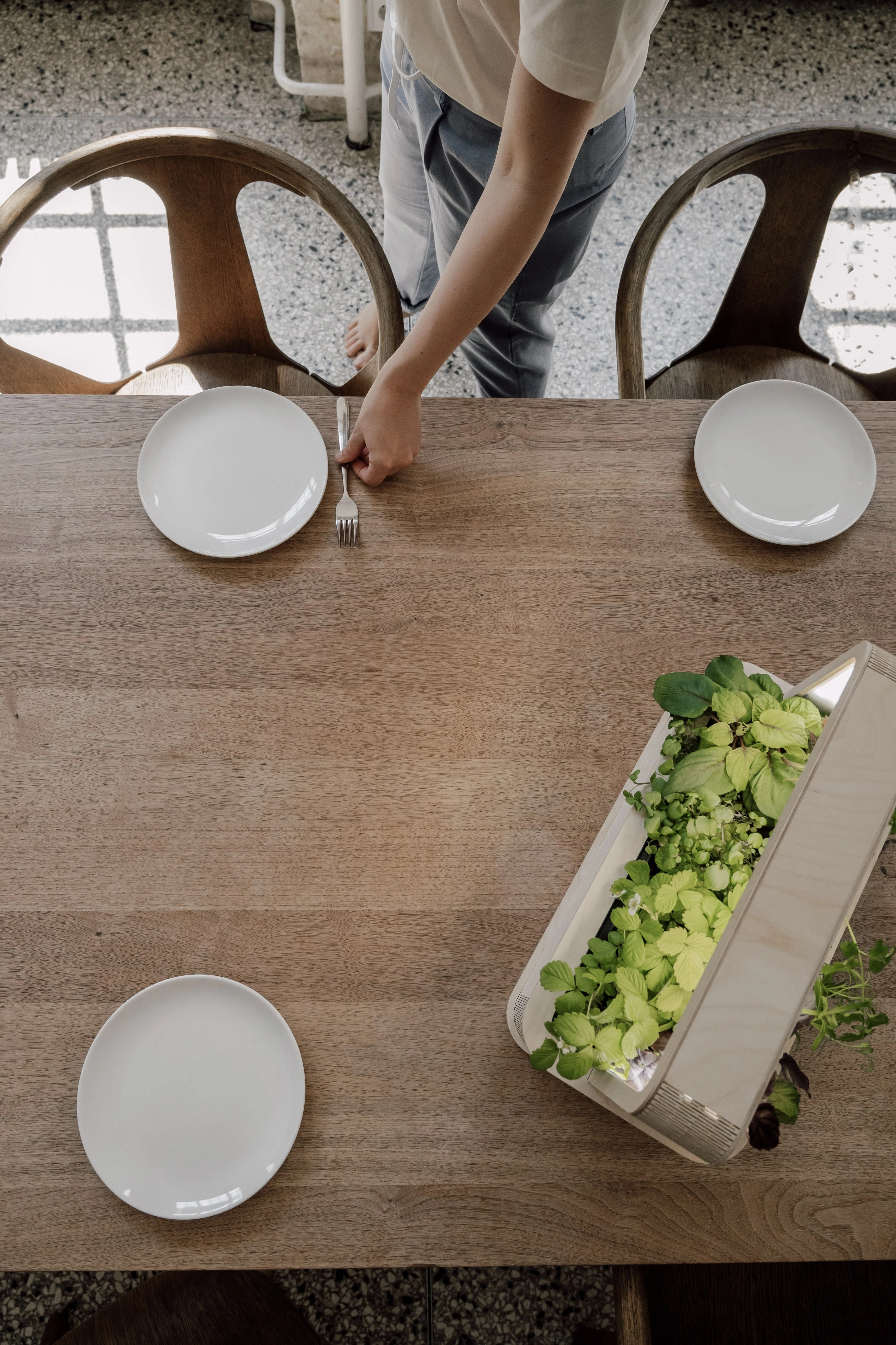 Mittags ernten, mittags essen. Frischer geht's nicht.