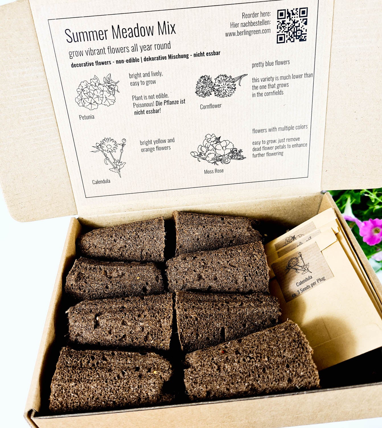 PlantPlugs │ Summer meadow mix 8-pack