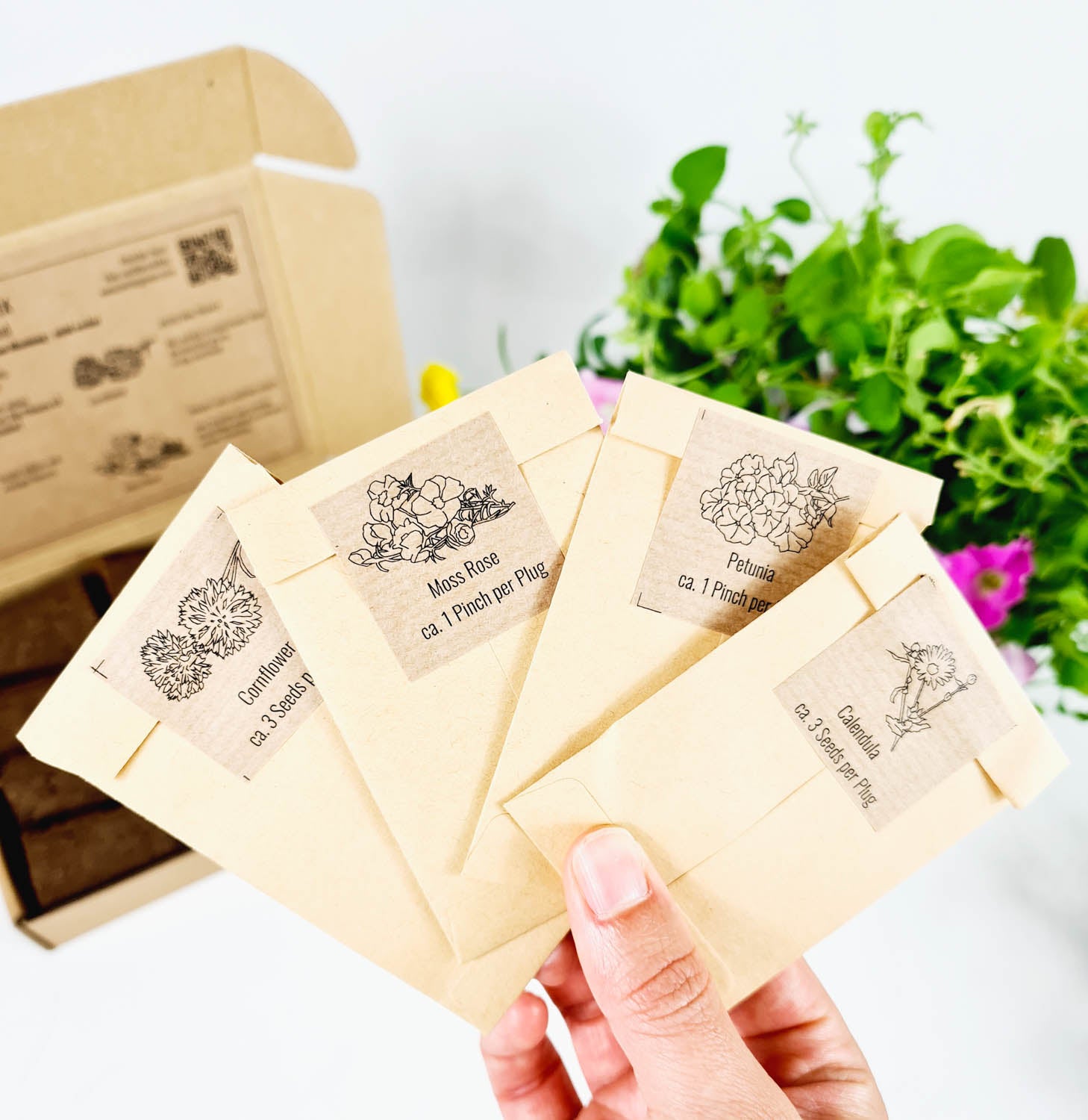 PlantPlugs │ Summer meadow mix 8-pack