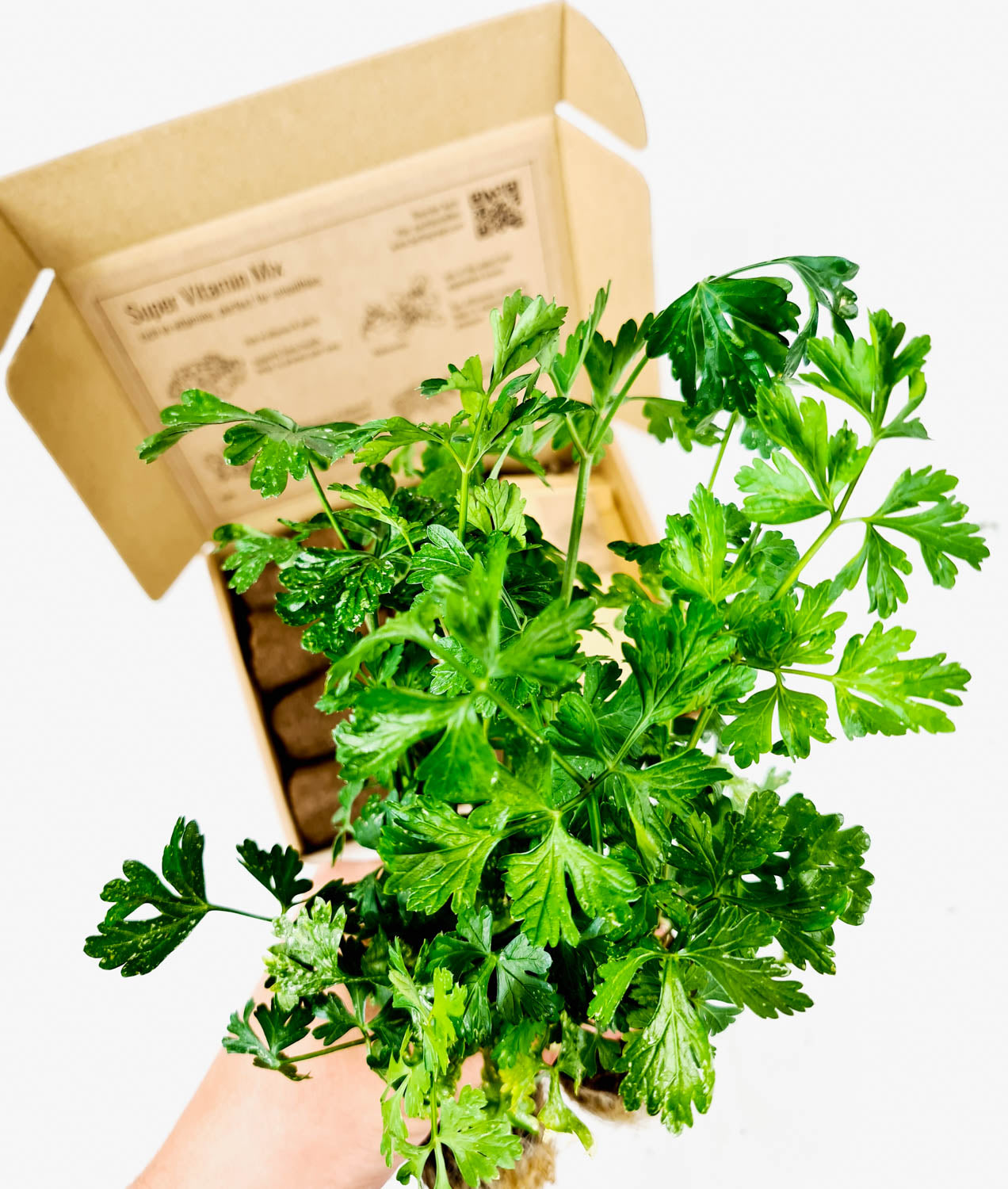 PlantPlugs │ Super vitamin mix 8-pack