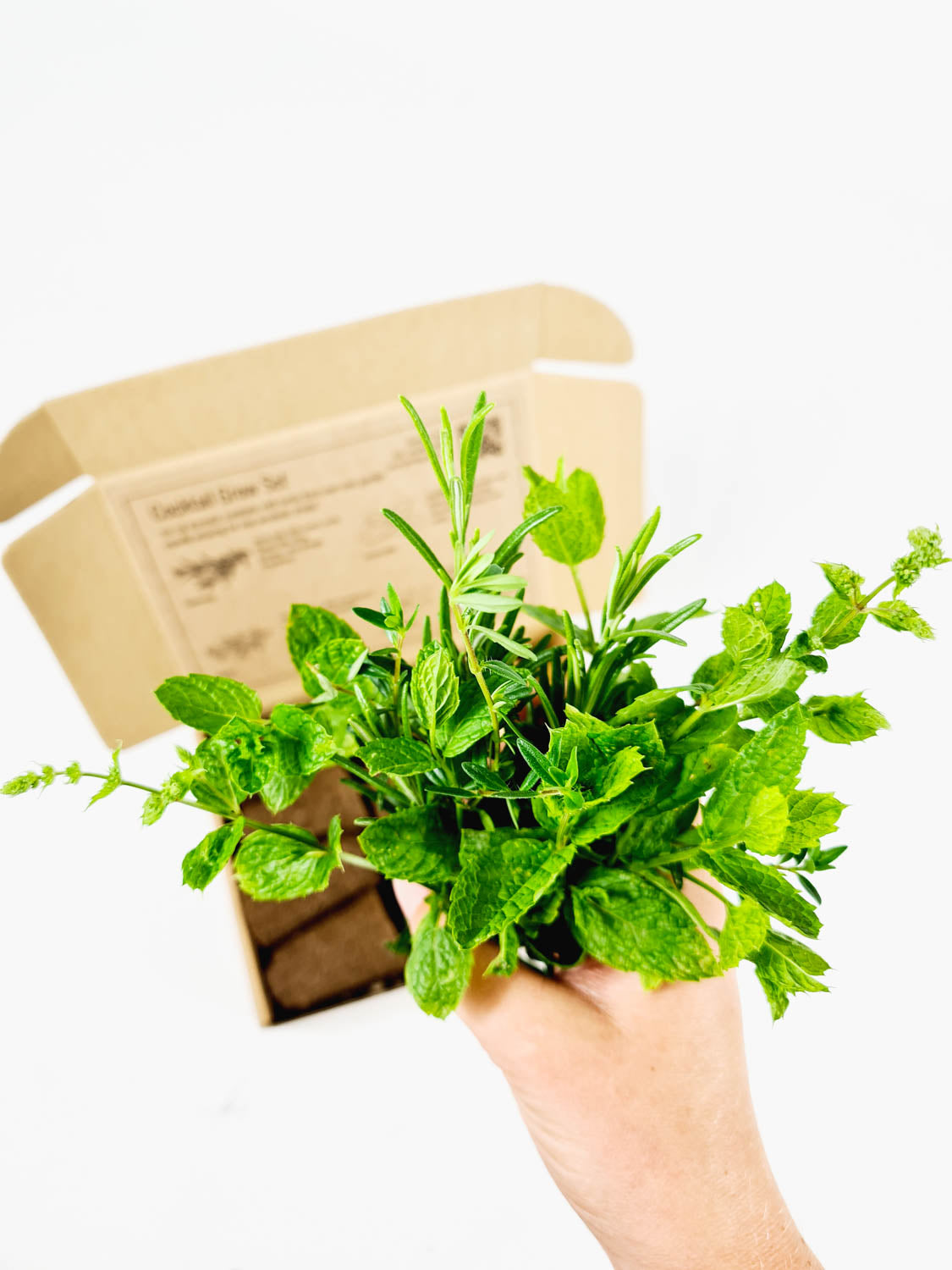 PlantPlugs | Cocktail Grow Set 8-pack
