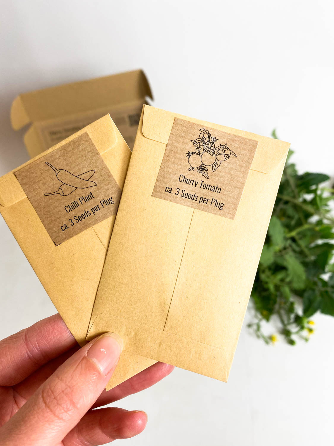 PlantPlugs │ Cherry tomato & chili mix 8-pack