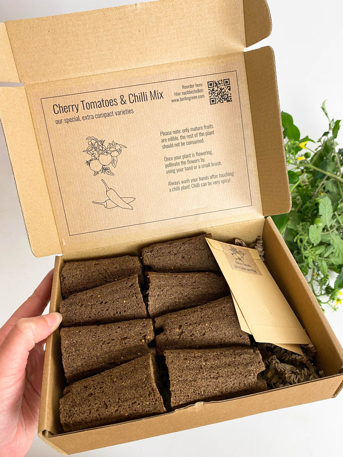 PlantPlugs │ Cherry tomato & chili mix 8-pack