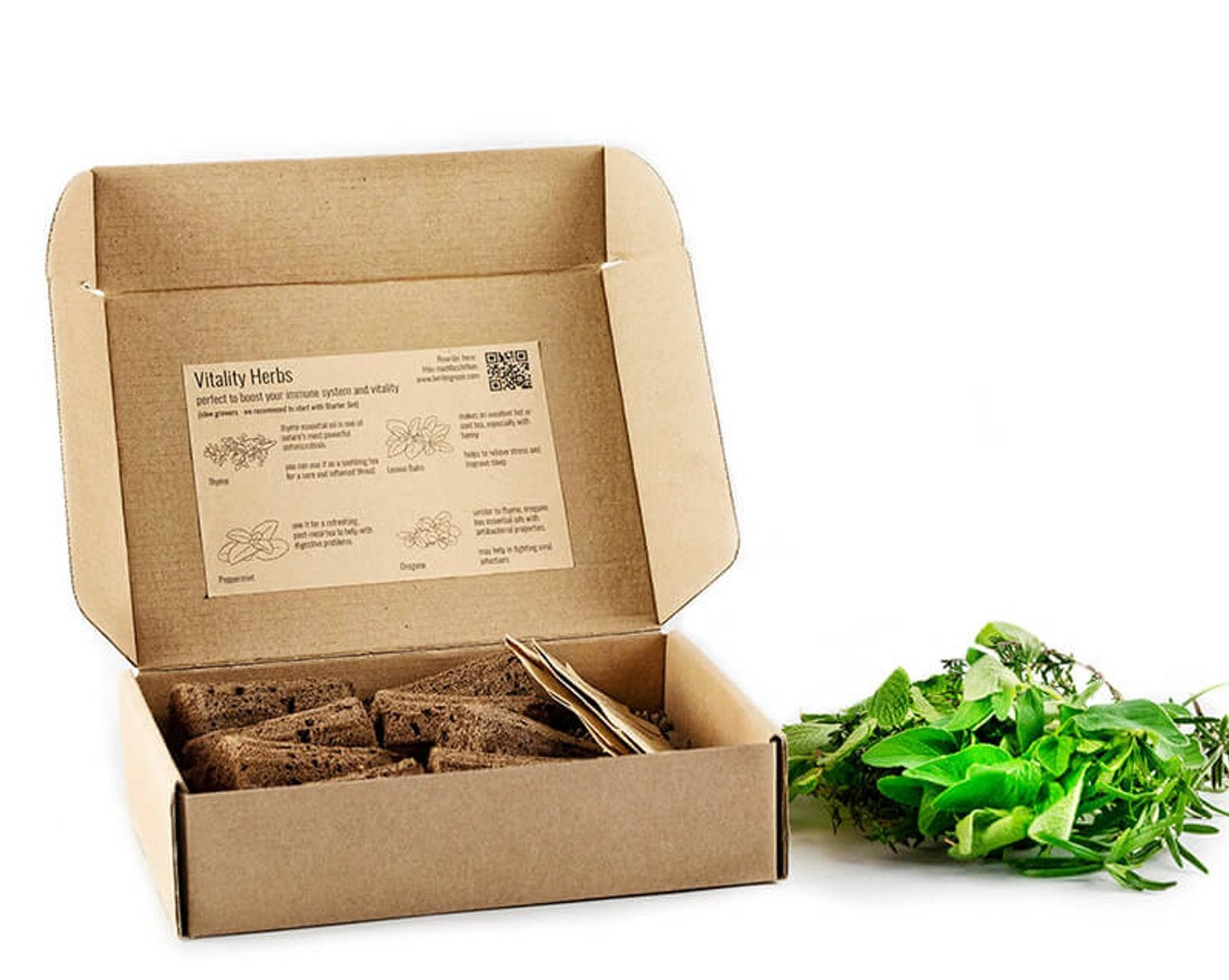 PlantPlugs | Set de Vitalidad Paquete de 8