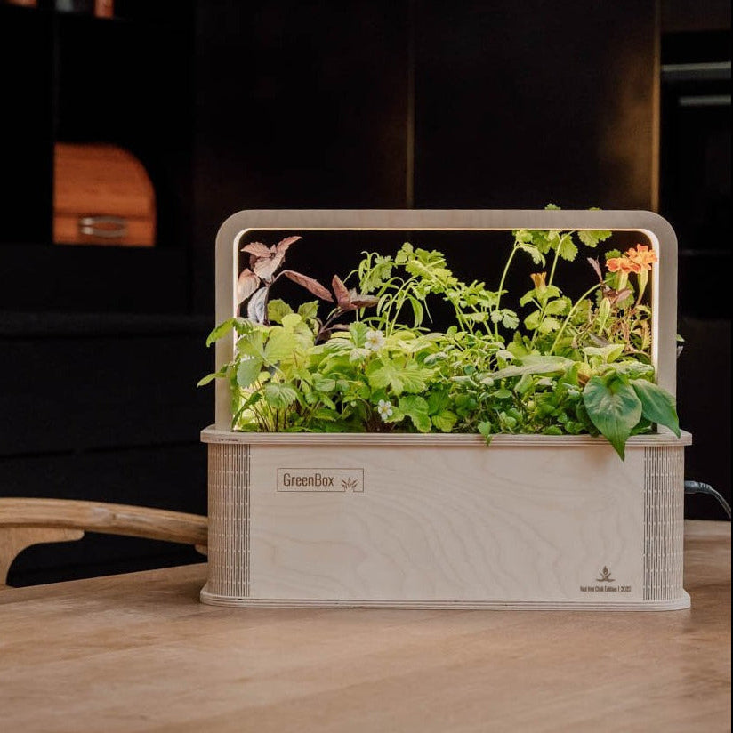 Empfang, Konferenzraum, Küche, Showroom – die GreenBox passt überall hin, wo eine Steckdose ist. Keine Erde, kein Geruch, kein Wasseranschluss nötig.