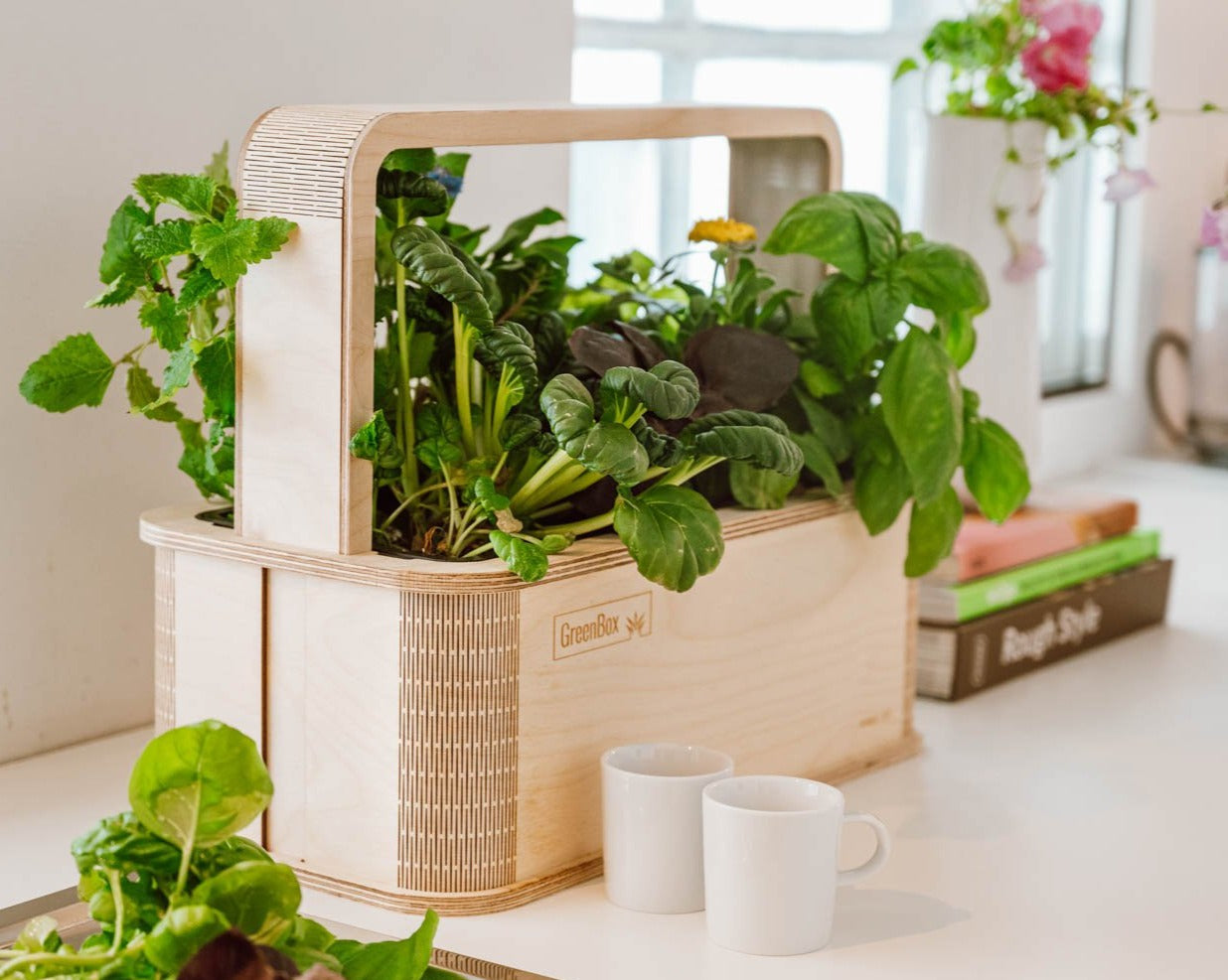 GreenBox