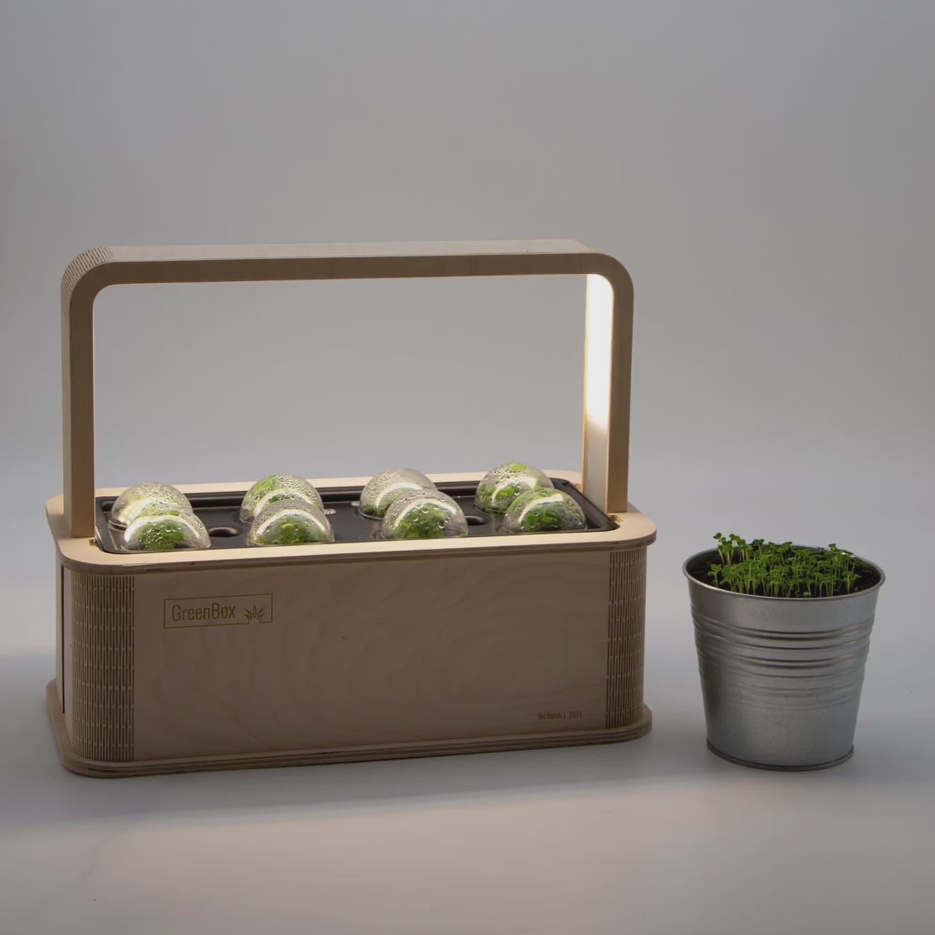 PlantPlugs | Asian leafy vegetables 8-pack