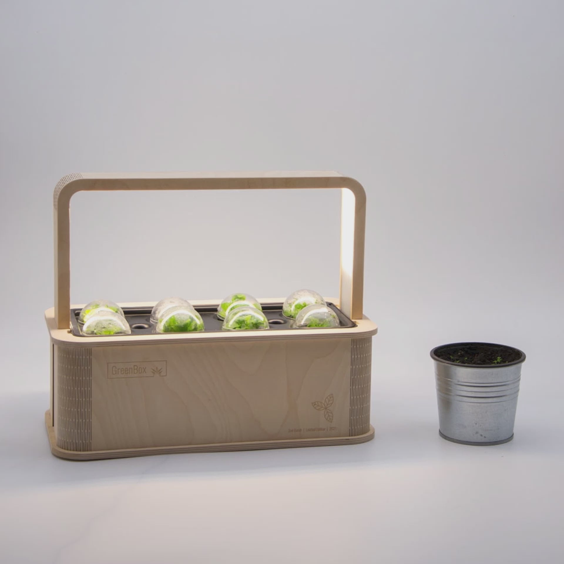 PlantPlugs │ Summer meadow mix 8-pack