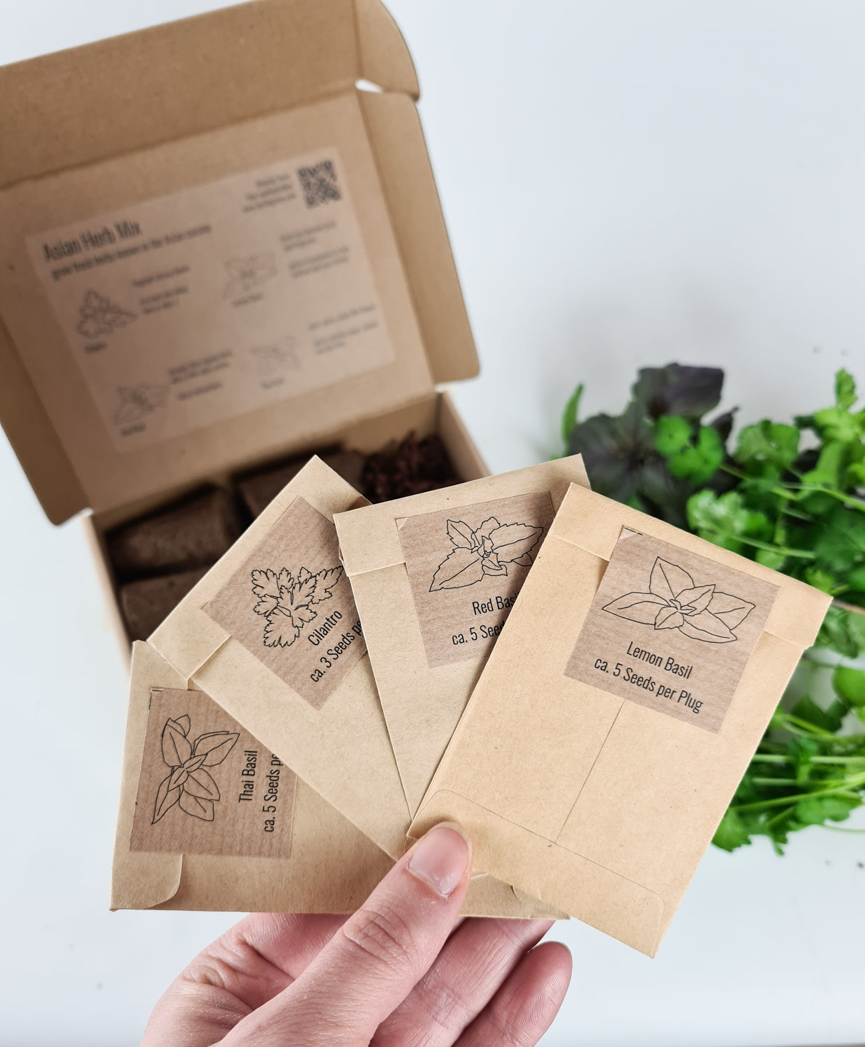 PlantPlugs | Asian herb mix 8-pack