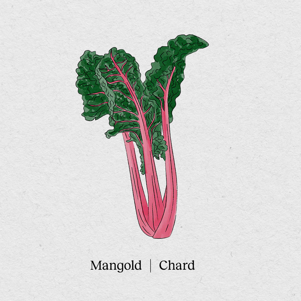 Swiss chard