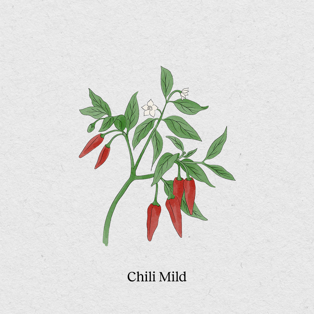 Mild chili