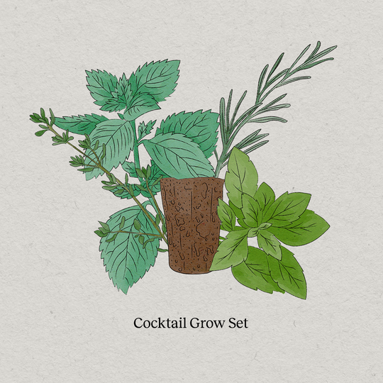 PlantPlugs | Cocktail Grow Set 8er-Pack
