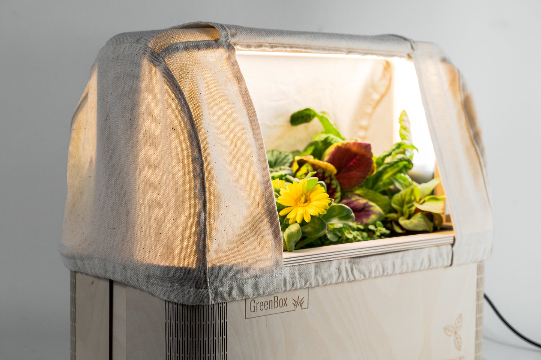 GreenBox Tent